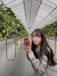 琴【コト】