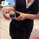 リピさん♡