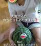 スイカ、メロンは野菜の仲間
