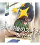 夏は終わらない