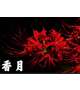 出勤予定