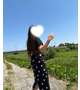 新しく🌻