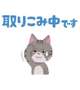 久々に……✨️