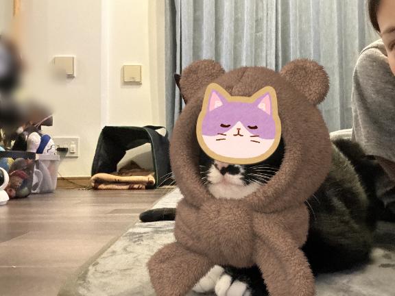 [お題]from:カニ鍋さん