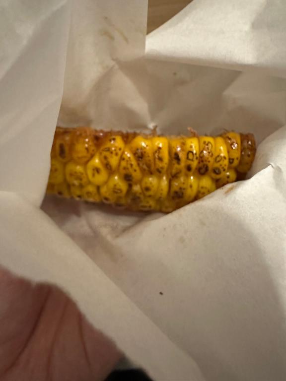 もっと…( ･᷄ὢ･᷅ )