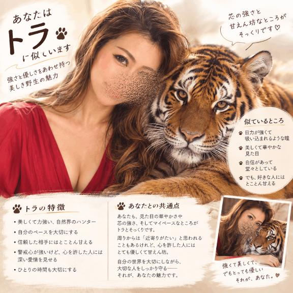 これってもしや