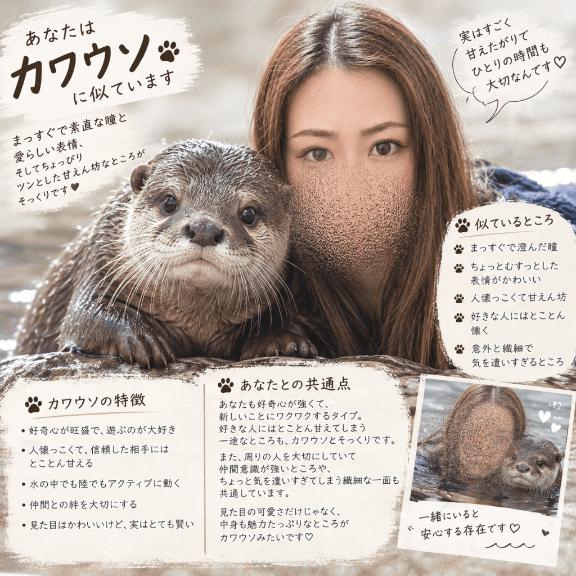 小動物キター
