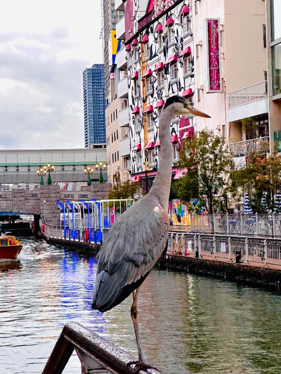 レイニークリスマス🎄🩷