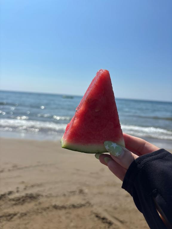 夏って感じ🌊