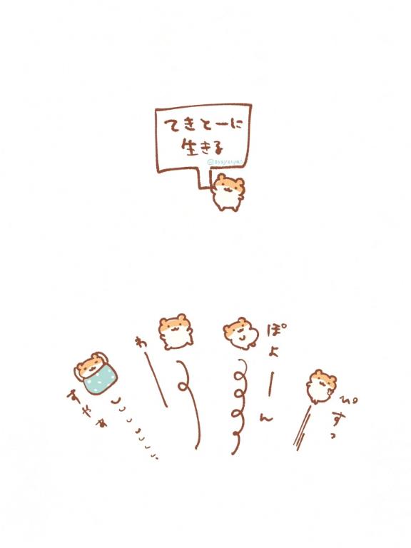 だがしかし‼️