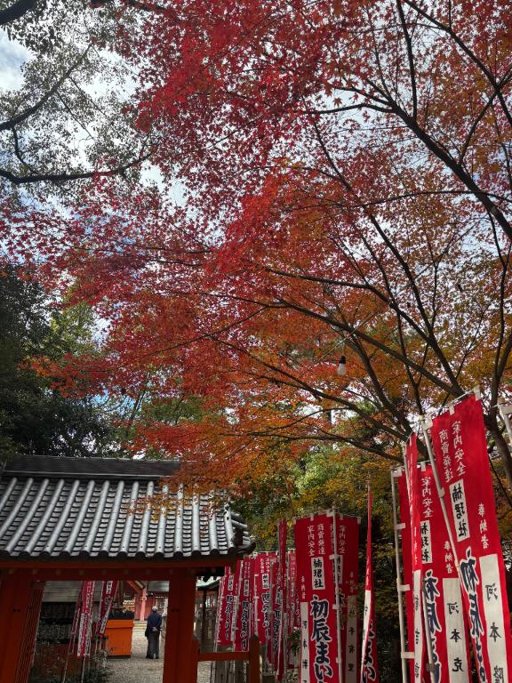 今日すーさんぽ❤️