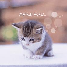 ほぼ復活!?