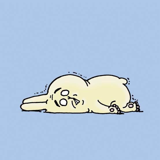 (❤︎Ꙭ)アクシデント😅