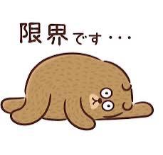 (❤︎Ꙭ)暑い〜