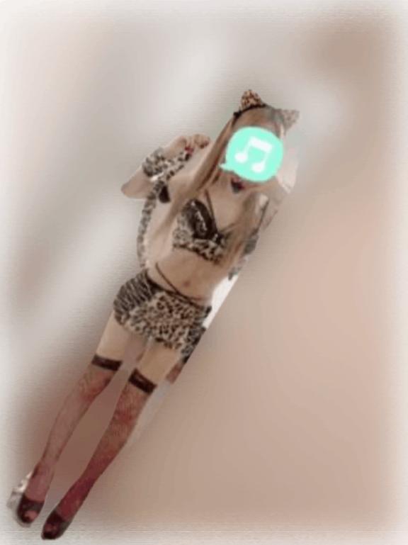 今夜から