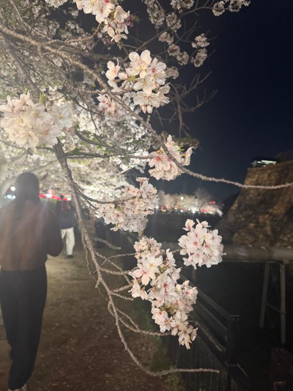 受付終了 🌸