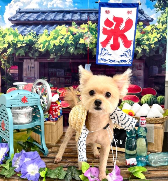 おやすみ