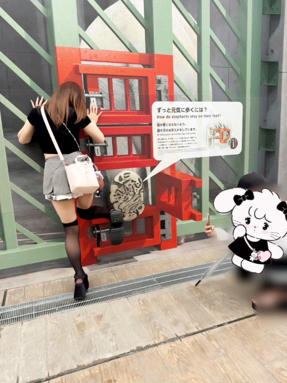 なんか違う。