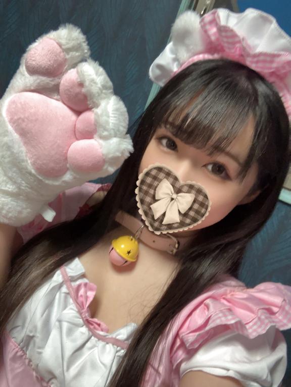 にゃーん構って(*ฅ́˘ฅ̀*)💗