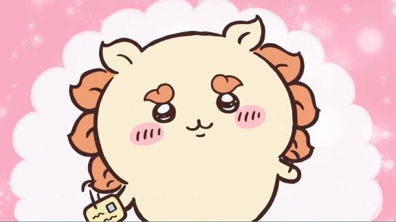 今日の🈳
