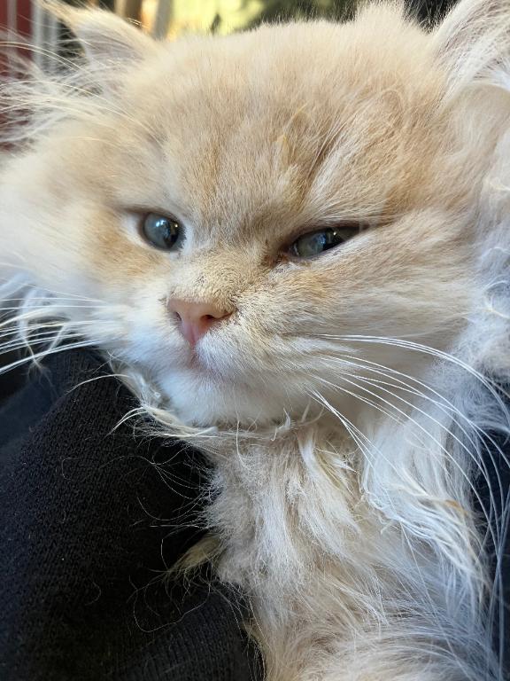 会いたい🥲🥲