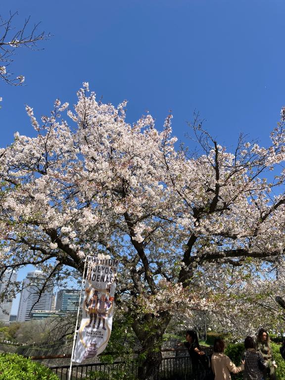 お久しぶりです🌸