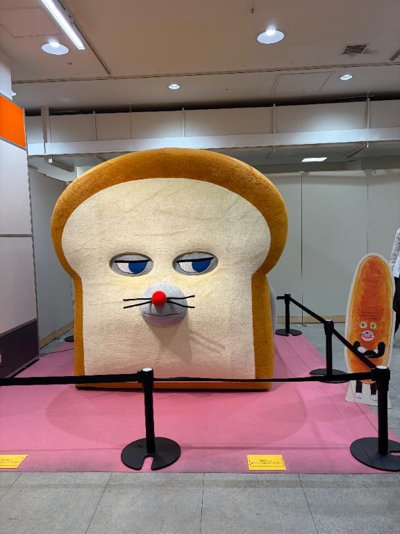 なんで知ってるの‼️