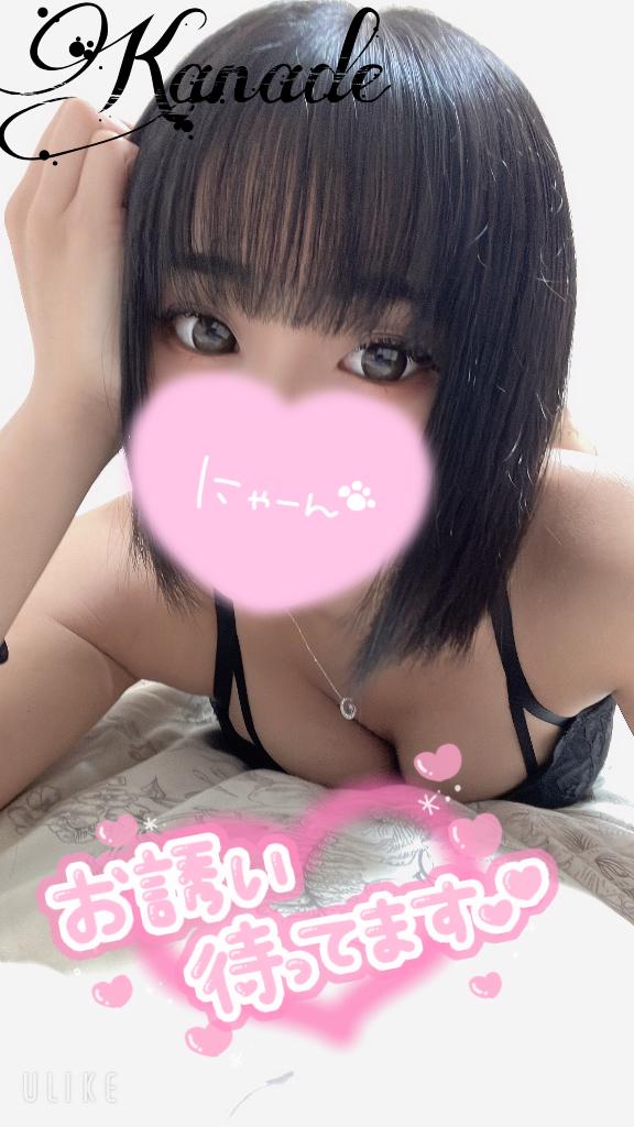 にゃーん🐱💗