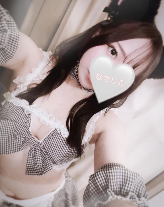 6月🕊️