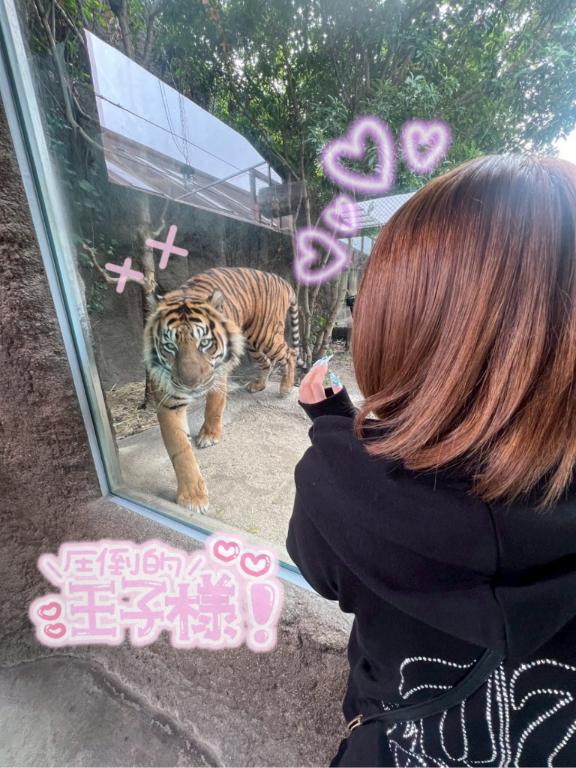 しゅきん➰