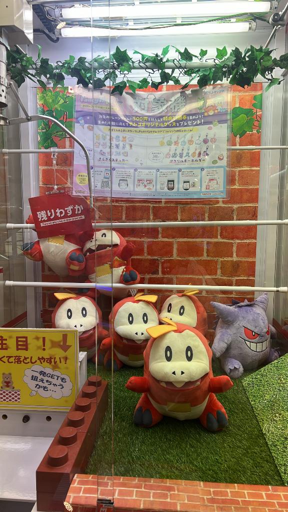 💗🩵ういの大好きな子💗