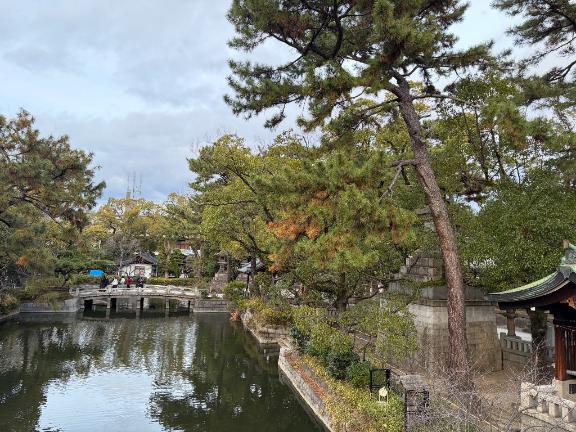 おはようございます⛩️