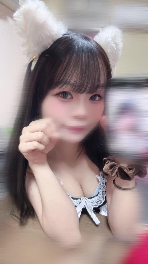 にゃんにゃん🐱