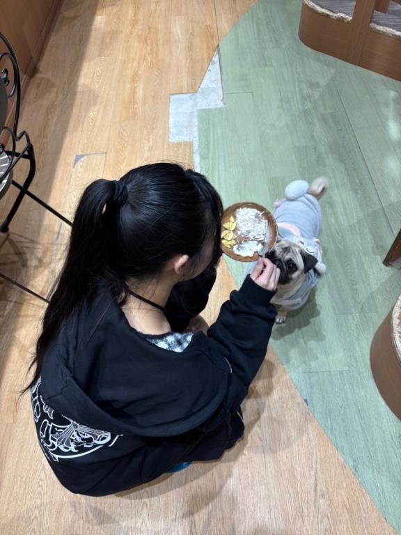 春になったら🌸