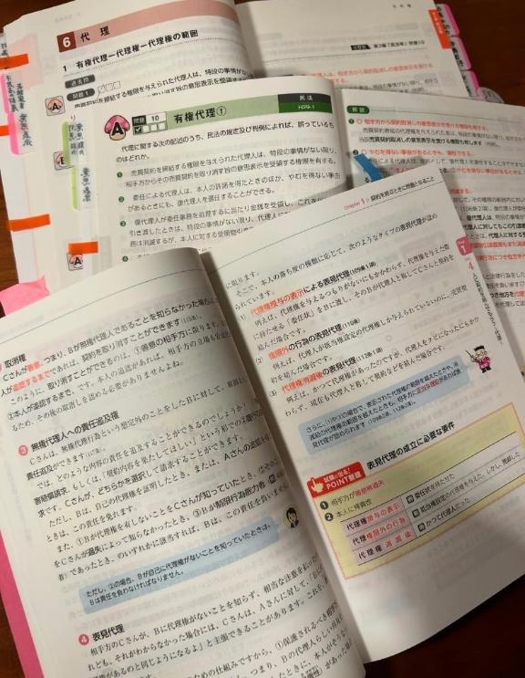 はしご🪜