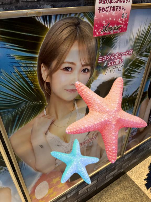 完売☀️🏖️