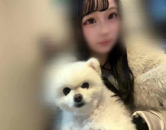 あけおめ 今日から復活‼️