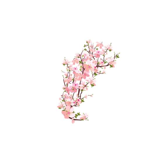 🌷お礼写メ日記