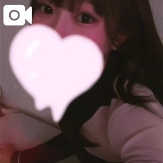 はじめまして🐈さくらです🌸