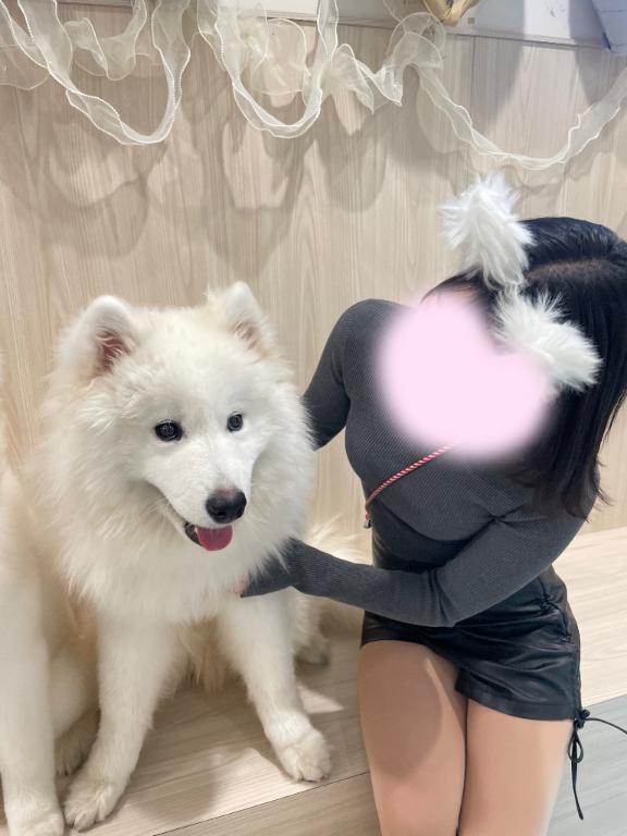 趣味😖