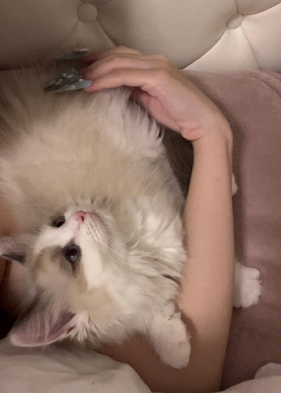 完売💞