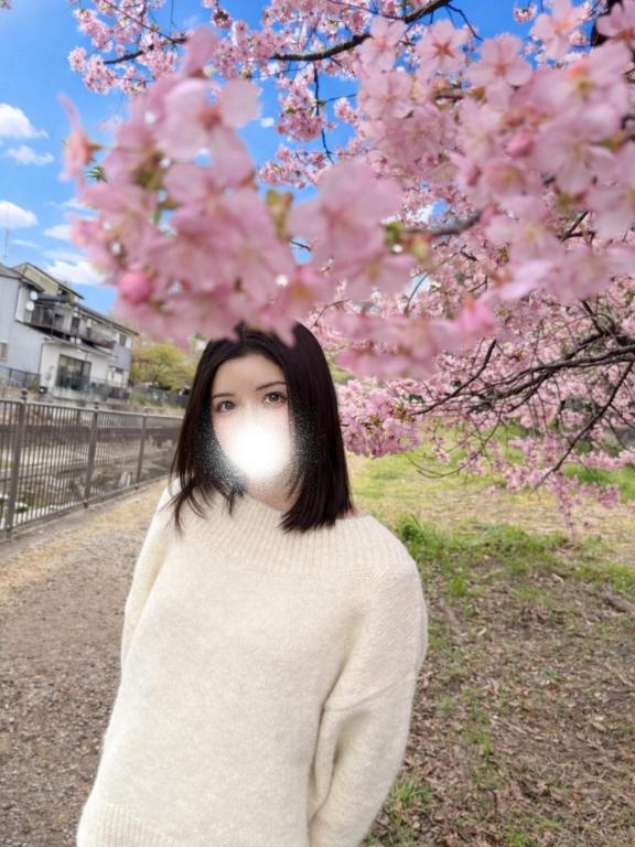 選挙編