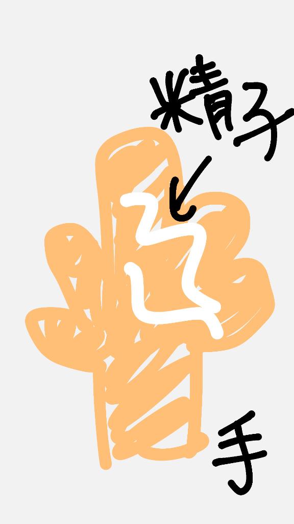 おはようございまっする🔥