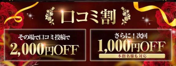 大募集🌻´-