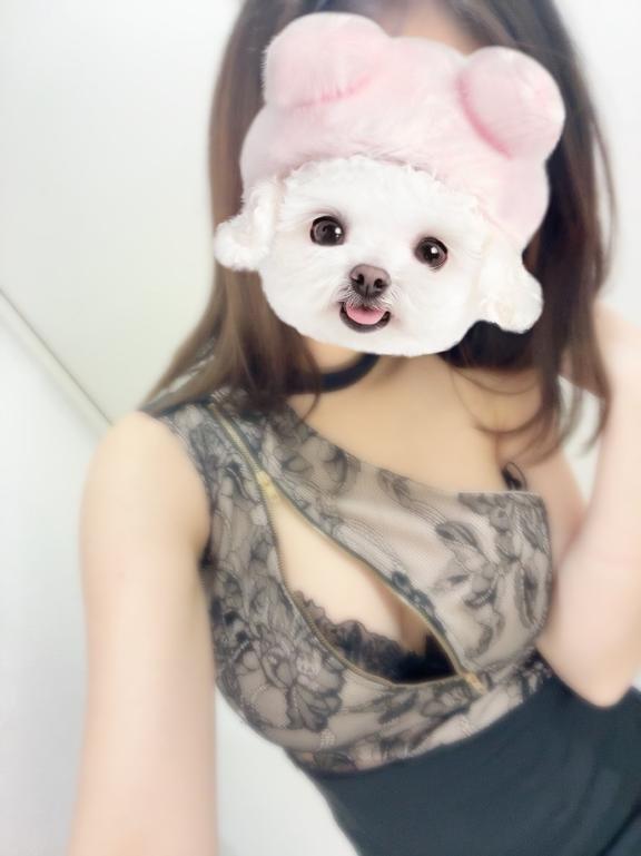 にゃん🐈‍⬛