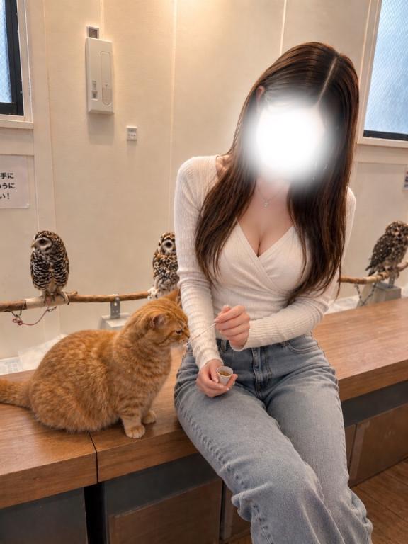 癒し🤍