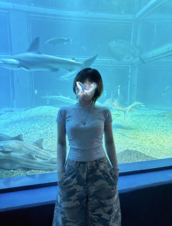 ここどーこだ！💬