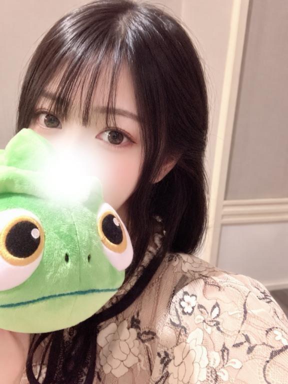 初めまして🐾 今日からお世話になります！