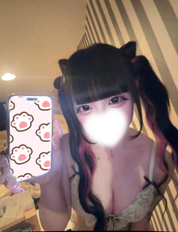 出勤しーたーよ🐱