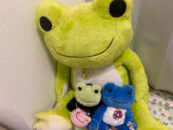 今日お休みしてます😭